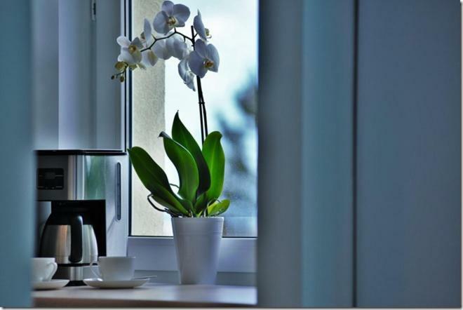 Cozy Base Apartment Gdansk Exterior photo